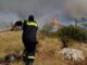 Φωτιά στη Σαλαμίνα – Δεν κινδυνεύουν κατοικίες