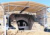 Ώρα μηδέν για την Αμφίπολη – Τα πάντα για τα ευρήματα