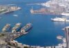 Αυτό είναι το μεγάλο γκράφιτι στο Λιμάνι του Πειραιά χορηγίας…National Geographic! (Φωτο)