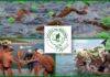 Spetses mini Marathon: Πάνω από 12.000 άνθρωποι κατέκλυσαν το όμορφο νησί του Αργοσαρωνικού!