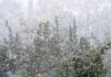 ΕΡΧΕΤΑΙ ΠΑΓΩΝΙΑ! Αυτές είναι οι πιο κρύες μέρες του Νοεμβρίου