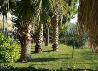 ΠΕΙΡΑΙΑΣ: Μεταμορφώθηκε το Πασαλιμάνι! (φωτο)