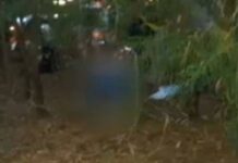 «Φύλακας άγγελος» αιωρείται πάνω από οδηγό που σώθηκε από θαύμα! (ΒΙΝΤΕΟ+ΦΩΤΟ)