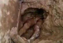 Προσπάθησε να αποδράσει από την τουαλέτα της φυλακής – Δείτε πώς ΚΑΤΕΛΗΞΕ! (ΒΙΝΤΕΟ)