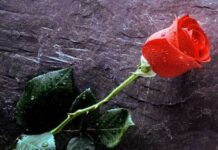 ΣΟΚ: Πέθανε ΔΙΑΣΗΜΟΣ 53χρονος τραγουδιστής!