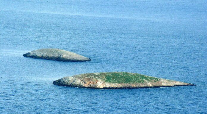 ΔΙΑΒΑΣΤΕ πώς έζησε ένας Πειραιώτης την κρίση στα Ίμια… από μέσα!