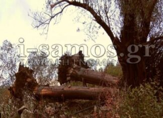 ΠΑΝΙΚΟΣ ΣΤΗ ΣΑΜΟ: Ανεμοστρόβιλος σάρωσε τα πάντα στο πέρασμά του! (PHOTOS)