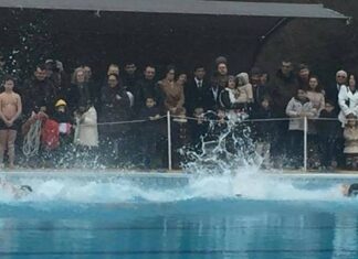 Θεοφάνεια: Ο βουλευτής βούτηξε για να πιάσει τον Σταυρό! (video)