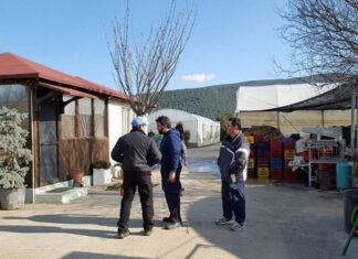 AYTO είναι το τελευταίο κρησφύγετο του Λέσι
