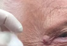 ΣΟΚΑΡΙΣΤΙΚΟ: Δείτε τι βγήκε μέσα από αυτό το ΣΠΥΡΑΚΙ! (ΒΙΝΤΕΟ)