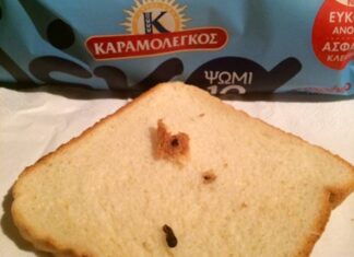 ΔΕΙΤΕ τι βρήκε στο ΨΩΜΙ του ΤΟΣΤ ΚΑΡΑΜΟΛΕΓΚΟΣ!!!