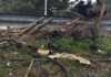 Τα ΜΥΣΤΗΡΙΑ της αλλαγής της τελευταίας διαδρομής του Παντελίδη που ερευνά η ΕΛ.ΑΣ.