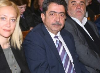 Σύλλογος Ατόμων με Σακχαρώδη Διαβήτη Πειραιά και Νήσων: Κοπή πίτας