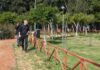 ΔΗΜΟΣ ΠΕΙΡΑΙΑ: Εκτεταμένες αναπλάσεις πρασίνου και δράσεις για το περιβάλλον (Φωτο)