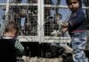 ΡΑΓΙΣΕ ΚΑΡΔΙΕΣ η Σύρια μάνα: Προσπάθησε να αυτοπυρποληθεί όταν την χώρισαν από τα παιδιά της!
