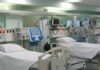 Στην εντατική μητέρα και γιος ύστερα από κατανάλωση λαγοκέφαλων