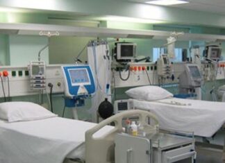 Στην εντατική μητέρα και γιος ύστερα από κατανάλωση λαγοκέφαλων