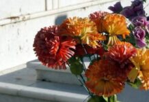 Θρήνος στην Πάτρα για τον μαχητή Αλέξη