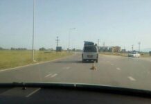 ΦΡΙΚΗ: Έδεσε το σκυλί στο αυτοκίνητο και το έσερνε!