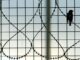 Θρίλερ στον Κορυδαλλό: Βαρυποινίτες ετοίμαζαν μαζική απόδραση – Τι είχαν κρύψει στα κελιά