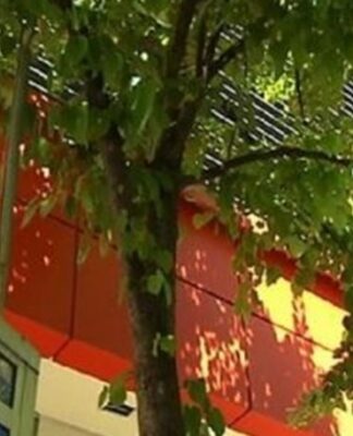 Σκηνές φρίκης στη Λάρισα: Κρεμάστηκε σε δέντρο στη μέση του δρόμου