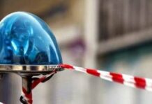 Θεσπρωτία: Πού στρέφεται η έρευνα της Αστυνομίας για το ακέφαλο πτώμα στο στάβλο