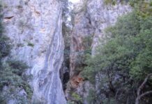 Νέο θρίλερ σε φαράγγι: Πεζοπόρος έπεσε σε κώμα ενώ το εξερευνούσε! (ΒΙΝΤΕΟ)