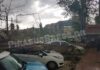 ΠΑΣΑΛΙΜΑΝΙ: Γιατί ξεριζώθηκαν τα δυο πλαϊνά δέντρα έτσι απλά;;;