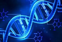 Έρευνα αποκαλύπτει τη μεταθανάτια ζωή του.. DNA!