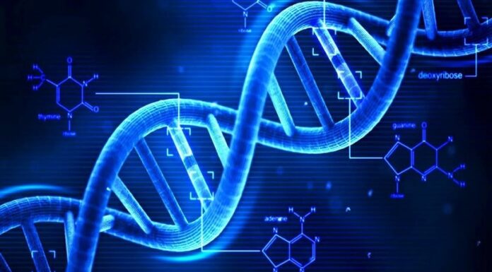 Έρευνα αποκαλύπτει τη μεταθανάτια ζωή του.. DNA!