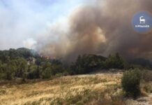 Στάχτη χιλιάδες στρέμματα από την πυργαγιά στη Ρόδο (video+photos)