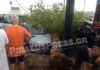 ΣΟΚ: Ξεριζώθηκαν δύο μεγάλα δέντρα στο Πασαλιμάνι – Από θαύμα δε θρηνήσαμε θύματα (ΦΩΤΟ)
