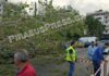 ΠΤΩΣΗ ΔΕΝΤΡΩΝ ΠΑΣΑΛΙΜΑΝΙ: Άμεση κινητοποίηση του Δήμου Πειραιά!