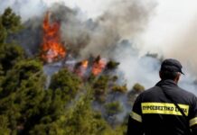 Φωτιά Δερβενοχώρια: Πύρινη κόλαση για τέταρτη ημέρα