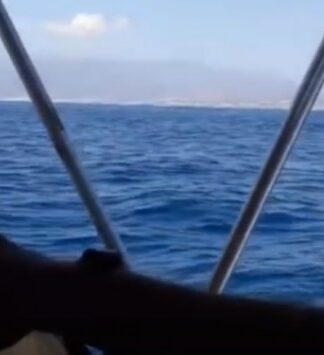 Κρήτη: Καπετάνιος τραβούσε αυτό το βίντεο και ”έπιασε” μια σκηνή που θα του μείνει αξέχαστη!