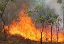 Φωτιά Τώρα: Προς Πάρνηθα κινείται η πύρινη λαίλαπα που κατακαίει τα Δερβενοχώρια