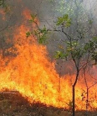 Φωτιά Τώρα: Προς Πάρνηθα κινείται η πύρινη λαίλαπα που κατακαίει τα Δερβενοχώρια