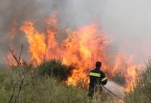 Φωτιά στη Νέα Πεντέλη – Πυροσβεστική: «Ψευδής αναγγελία» 1