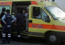 Τραγωδία στην Σπάρτη: Έπεσε από μάντρα και σκοτώθηκε