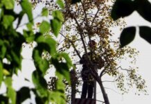 Κρήτη: Η ατυχία της ζωής του – Σκοτώθηκε από τη μια στιγμή στην άλλη μπροστά στη γυναίκα του!