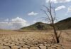 ΕΡΕΥΝΑ ΣΟΚ ΓΙΑ ΤΗΝ ΚΡΗΤΗ: Ερημοποίηση και ξηρασία απειλούν το Λασίθι!