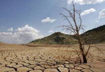 ΕΡΕΥΝΑ ΣΟΚ ΓΙΑ ΤΗΝ ΚΡΗΤΗ: Ερημοποίηση και ξηρασία απειλούν το Λασίθι!