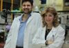 Οι πρώτοι «Ολυμπιακοί Αγώνες» Ελαιόλαδου στην Αρχαία Ολυμπία