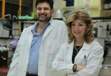 Οι πρώτοι «Ολυμπιακοί Αγώνες» Ελαιόλαδου στην Αρχαία Ολυμπία