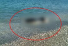 Λάρισα: Έκαναν μπάνιο στην παραλία μέχρι αυτή τη στιγμή – Δείτε τι ξέβρασε η θάλασσα στην ακτή (ΦΩΤΟ)!