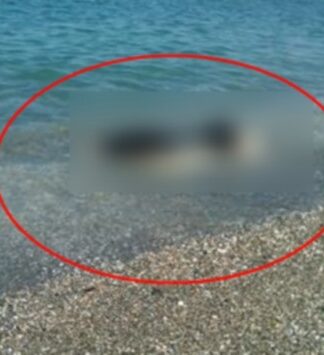 Λάρισα: Έκαναν μπάνιο στην παραλία μέχρι αυτή τη στιγμή – Δείτε τι ξέβρασε η θάλασσα στην ακτή (ΦΩΤΟ)!