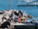 Αίγινα: Νέο βίντεο ντοκουμέντο μέσα από το ταχύπλοο του θανάτου
