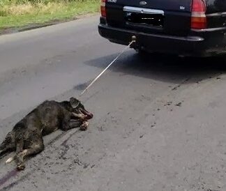 Αγρίνιο: Έσερνε ζωντανό σκύλο με το αυτοκίνητό του!