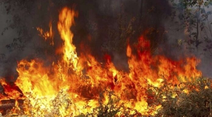 Έκτακτο: Νέα φωτιά σε μεγάλο νησί της Ελλάδας