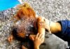 Στον τέταρτο μήνα της εγκυμοσύνης της η…